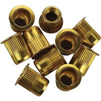 3/8"-16 Zinc-Plated Steel Rivet Nuts - 10Pk